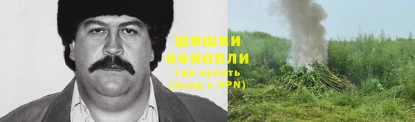 сатива Абинск