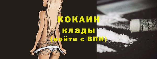 кокс Алексин