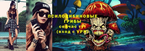 прущие грибы Алзамай