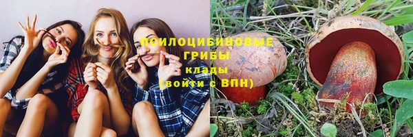хмурый Новодвинск