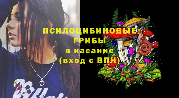 прущая мука Абаза
