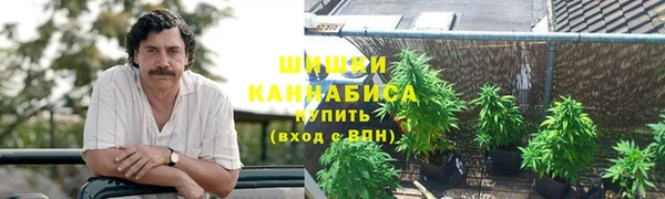 кокс Алексин
