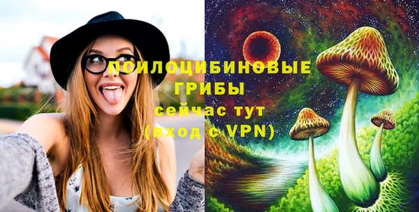 прущие грибы Алзамай